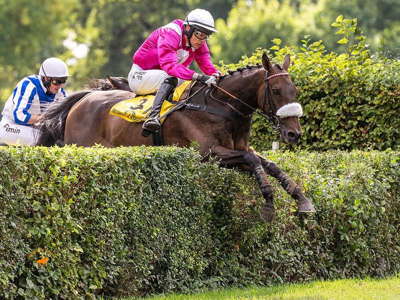 Velka Pardubicka final qualifier