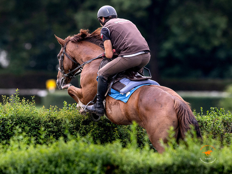 Sexy Lord Pardubicka qualifier prep