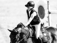 CSI3* Sharjah Sport Council Two Phases