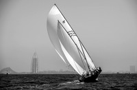 Dubai dhow sailing race