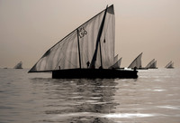 Abu Dhabi 60ft dhows Jan 26 2019