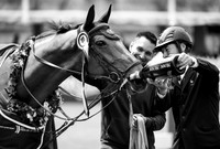 DERBY REGION DES PAYS DE LA LOIRE over 145cm