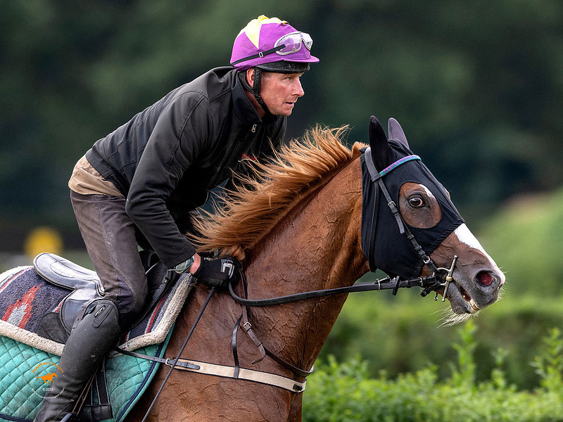 Sexy Lord Pardubicka qualifier prep