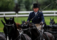 World Equestrian Festival CHIO Aachen 2019