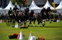 World Equestrian Festival CHIO Aachen 2019