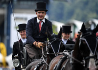 World Equestrian Festival CHIO Aachen 2019