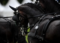 World Equestrian Festival CHIO Aachen 2019
