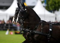 World Equestrian Festival CHIO Aachen 2019