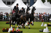 World Equestrian Festival CHIO Aachen 2019