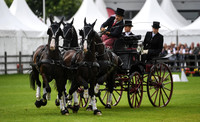 World Equestrian Festival CHIO Aachen 2019