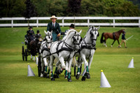 World Equestrian Festival CHIO Aachen 2019
