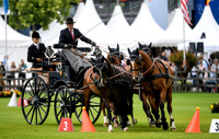 World Equestrian Festival CHIO Aachen 2019