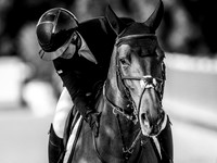 Sharjah FEI Group VII Final Young Horses 7Y