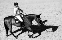 Equestrian 2019: FEI Jumping Nations Cup Final