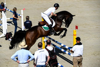 Equestrian 2019: FEI Jumping Nations Cup Final