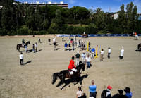 Equestrian 2019: FEI Jumping Nations Cup Final