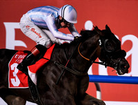 Horse racing 2019: Dubai race meeting 1
