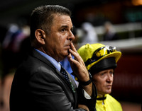 Horse racing 2019: Dubai race meeting 1