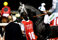 Horse racing 2019: Dubai race meeting 1
