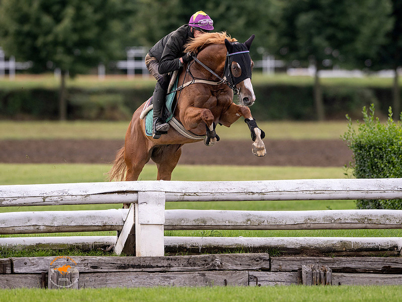 Sexy Lord Pardubicka qualifier prep