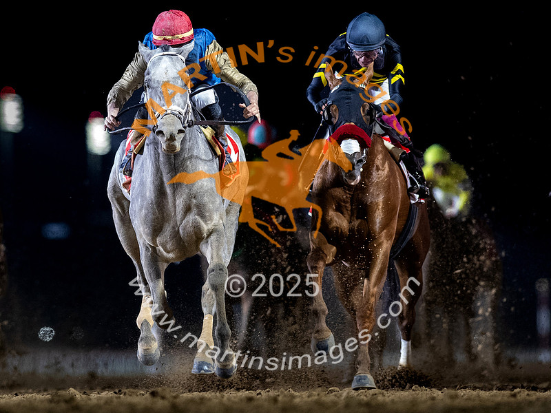 Group 1 Dubai World Cup