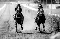 Horseracing Czech