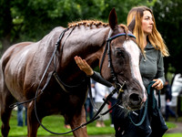 Velka Pardubicka qualifier