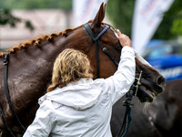 Velka Pardubicka qualifier prep
