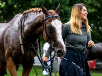 Velka Pardubicka qualifier