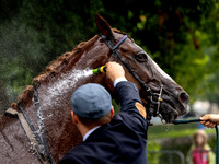 Velka Pardubicka qualifier